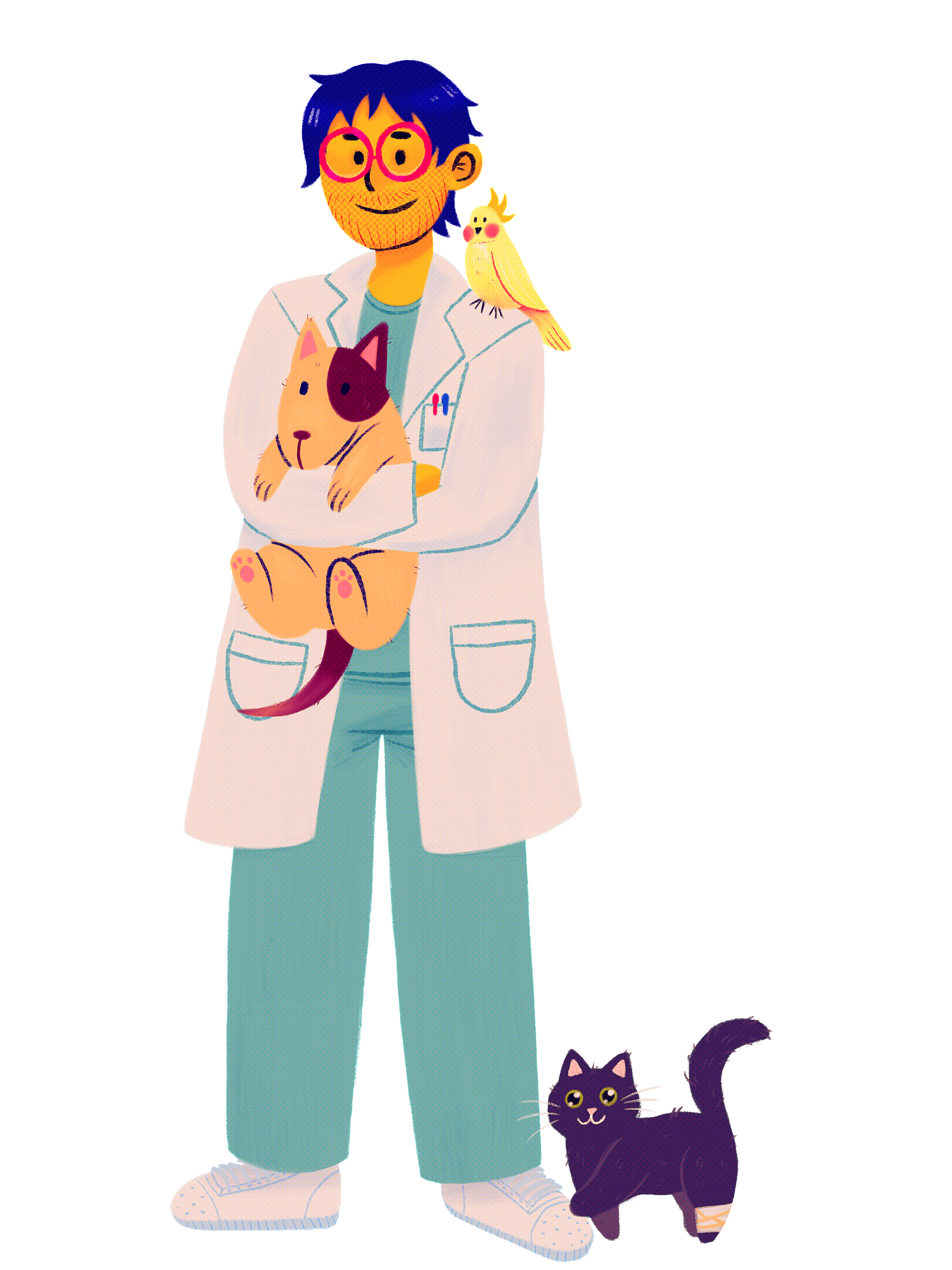 Retrato de Martim, o Veterinário. Sorrindo e de frente para o retrato está vestido com calças e túnica verde azuladas, uma bata branca por cima e sapatos brancos. No bolso direito da bata tem uma caneta azul e uma caneta vermelha. Usa óculos vermelhos redondos e tem cabelo curto desalinhado. Com ele estão três dos seus pacientes: uma catatua, um cão e um gato. A catatua é amarela e está pousada no ombro esquerdo. O cão de pêlo dourado está seguro num abraço, tem uma mancha redonda castanha da orelha esquerda até à volta do olho e a cauda também é castanha. As almofadas digitais, nas patas, são cor de rosa, tal como o interior das orelhas. O gato é preto, olhos cor de mel e tem a pata dianteira esquerda sobre o pé esquerdo do veterinário e uma ligadura na pata traseira esquerda. 